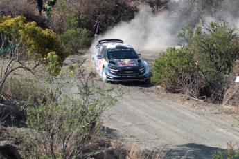 Rallye du Mexique